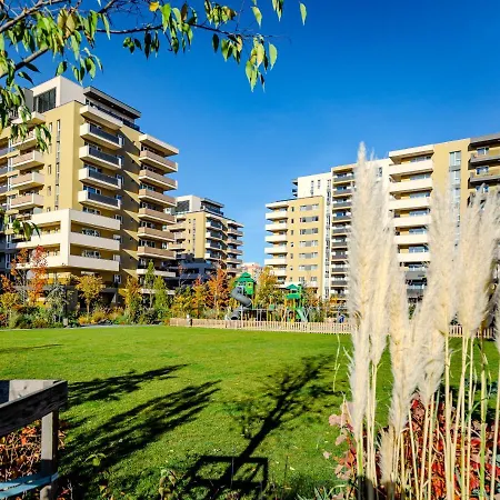 Kronburg 15-12 * Брашов